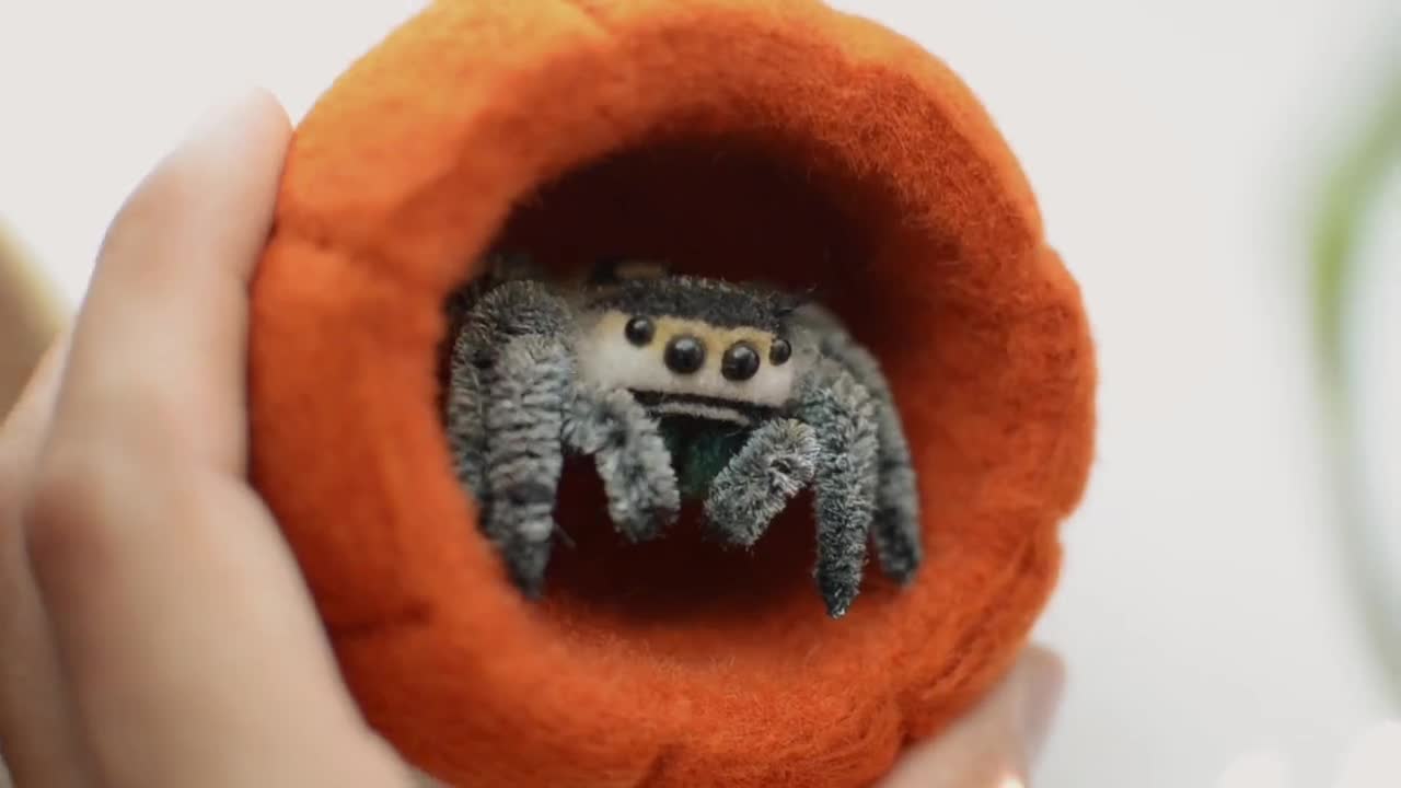 ニードルフェルトのジャンピングスパイダー彫刻、ポーズをとれるクモの