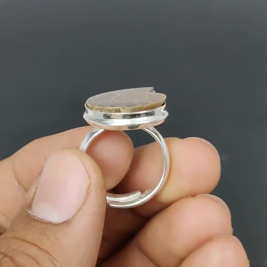 Fossile : Ammonite Cleoniceras Con Minuzioso Intaglio Di - Foto 8