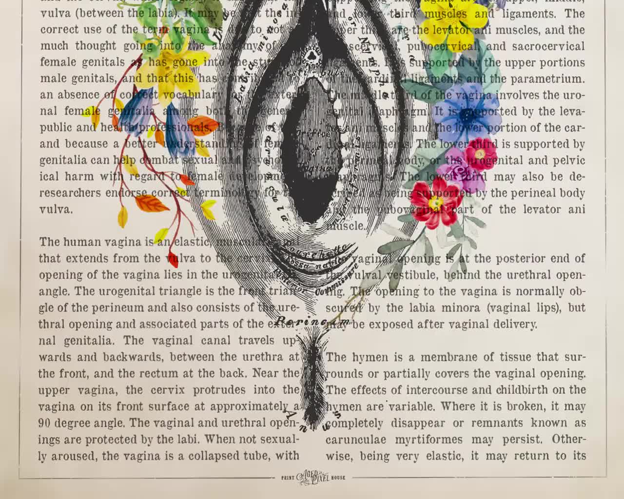 childbirch graphic vagina Vagina Anatomy Flowers Print, Obstetrician Gift, Gynecology Student  Graduation, Gynecologist Office Decor, Vulva Medical Clinic Wall Art - Etsy