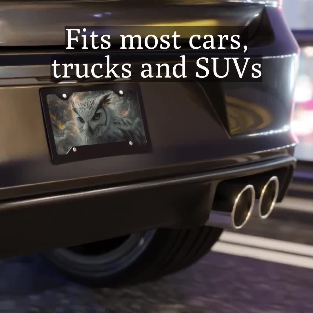 Placa de matrícula delantera para automóviles/camiones/SUV con arte de búho blanco de fantasía - placa de tocador - regalos de búho - decoración de coche de búho - regalo para esposa video poster