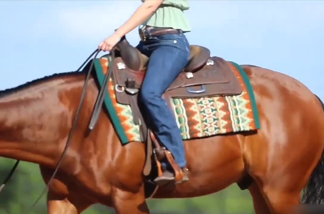 Tapis De Ranch Horse Western Show - Coussin En Laine De Nouvelle-Zélande - Lux Show Apparel