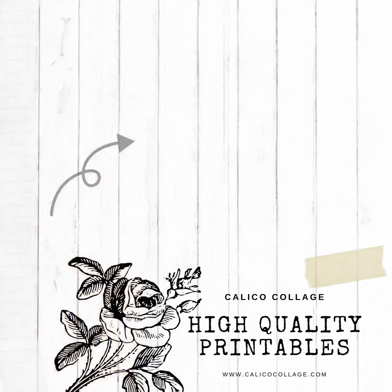 Printable Flower Seed Packets – CalicoCollage