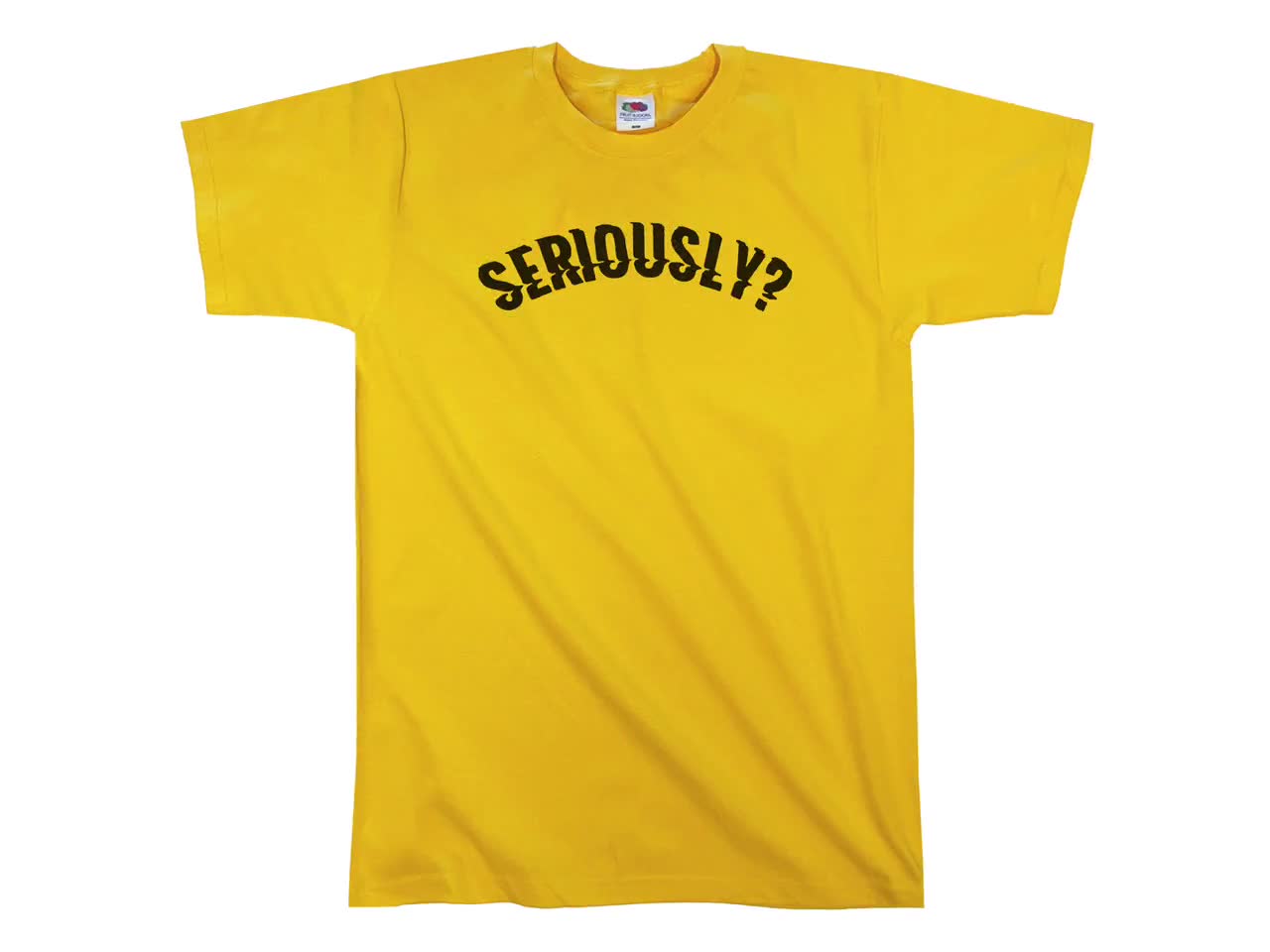 Seriously? T-shirt || Unisex / Mens S M L XL - Etsy