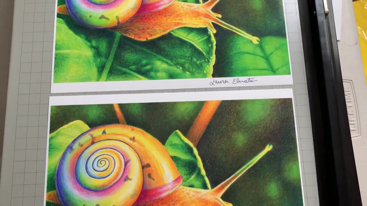 虹色のカタツムリの殻のアートプリント、カラフルな壁飾り - Etsy 日本