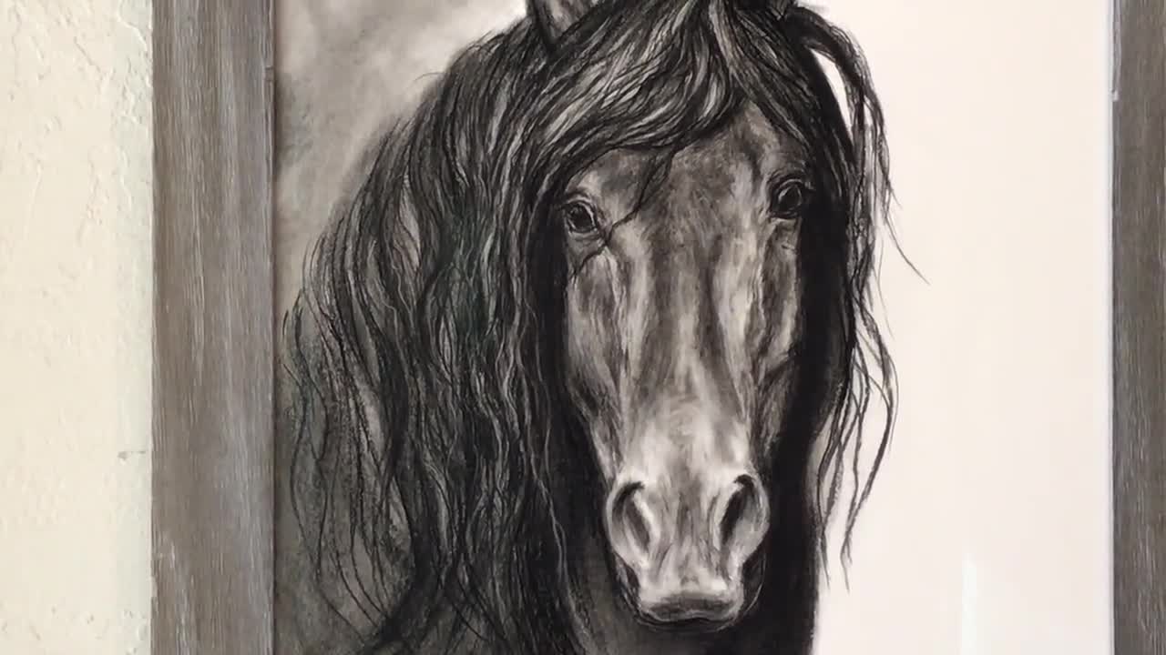 friesian horse head drawings