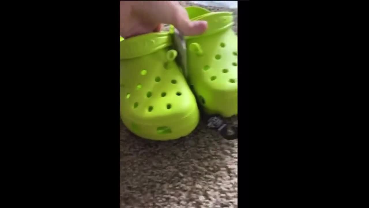 I Bought The New SHREK Crocs (Shrocks Review & On Feet) 