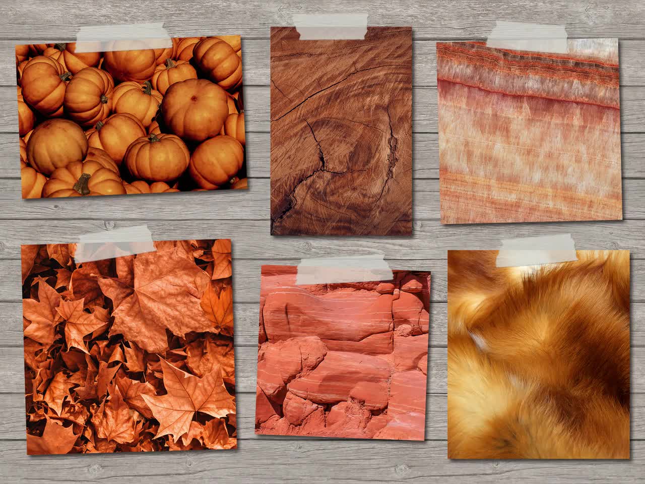 Rust Colors in Nature – Burnt Orange Earth Tones – Autumn Leaf