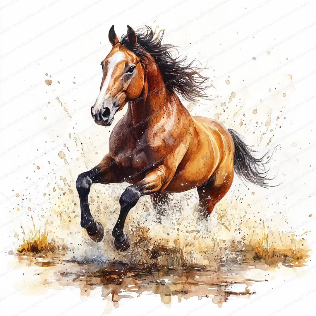 水たまりの中を走る馬のクリップアート 21 枚 | 雨に濡れた馬の