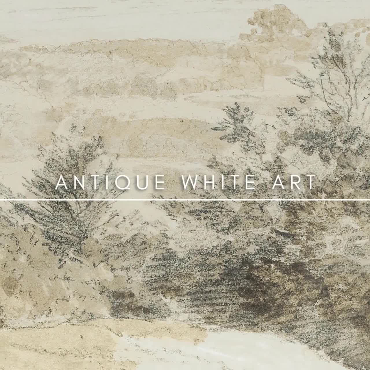 Dessiner l'Antique Dessiner l'Antique Dessiner L Antique | eBay