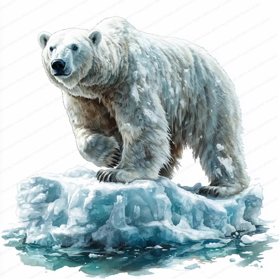 氷の上のホッキョクグマ 20 点のクリップアート | 北極の野生動物の