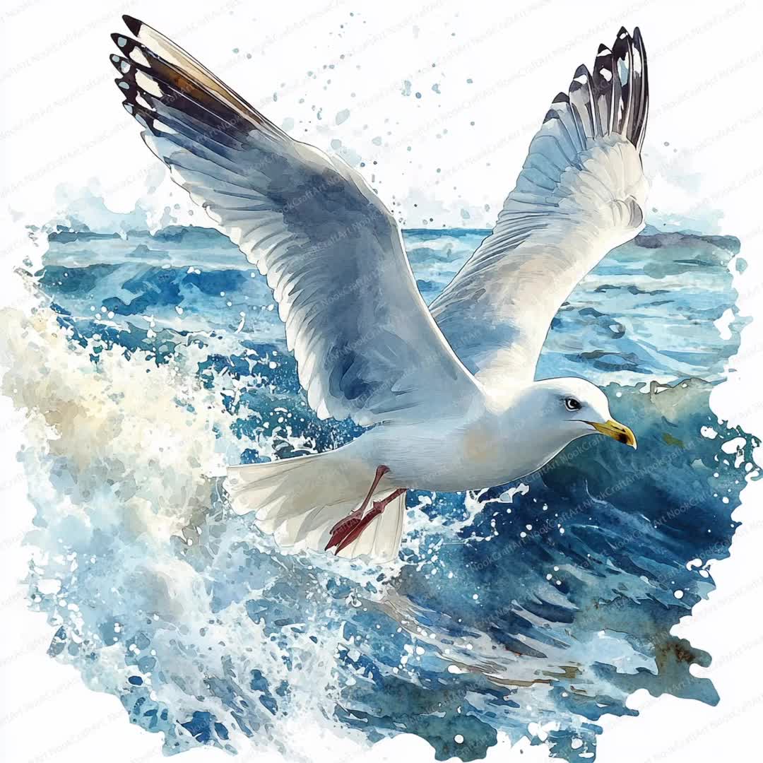 18 海の波の上のカモメのクリップアート | 航海中の海鳥のイラスト