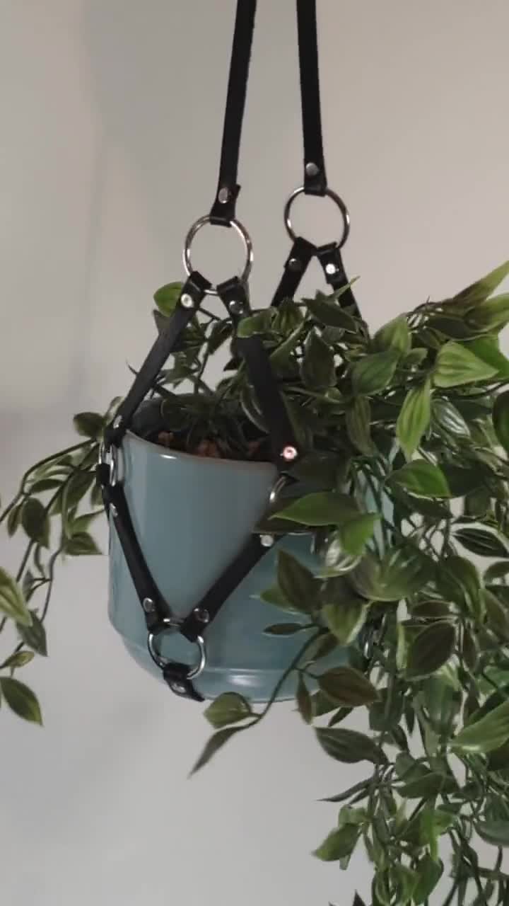 Plant hanger harness, bdsm style room decor