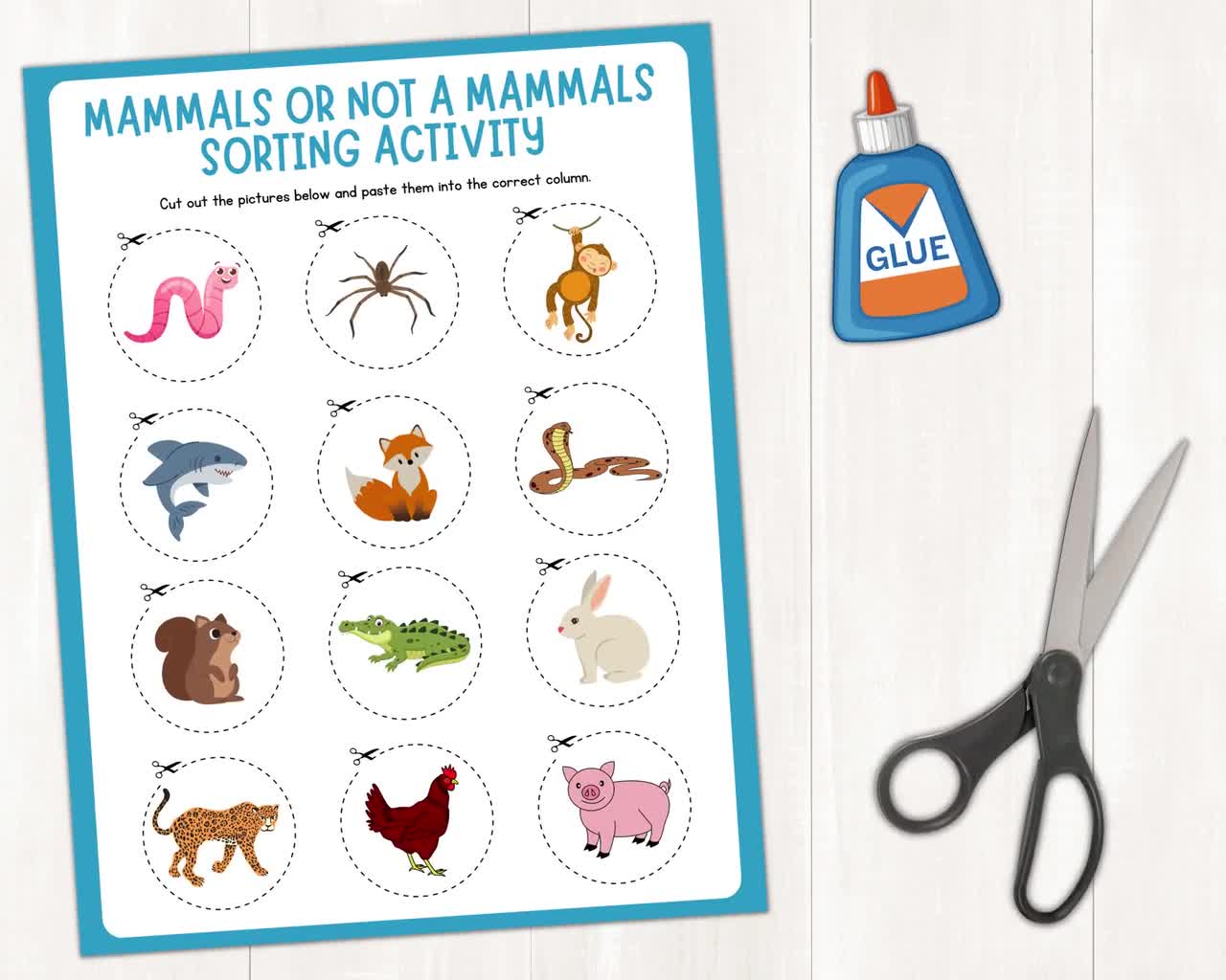 mammal-vs-not-a-mammal-picture-sort-animals-sorting-activity-animal-classification-printable-activity-sheets-digital-download-pdf-etsy for Free Printable Pictures Of Mammals Mammal Vs. Not a Mammal Picture Sort | Animals Sorting Activity | Animal Classification Printable Activity Sheets | Digital Download | PDF - Etsy for Free Printable Pictures Of Mammals