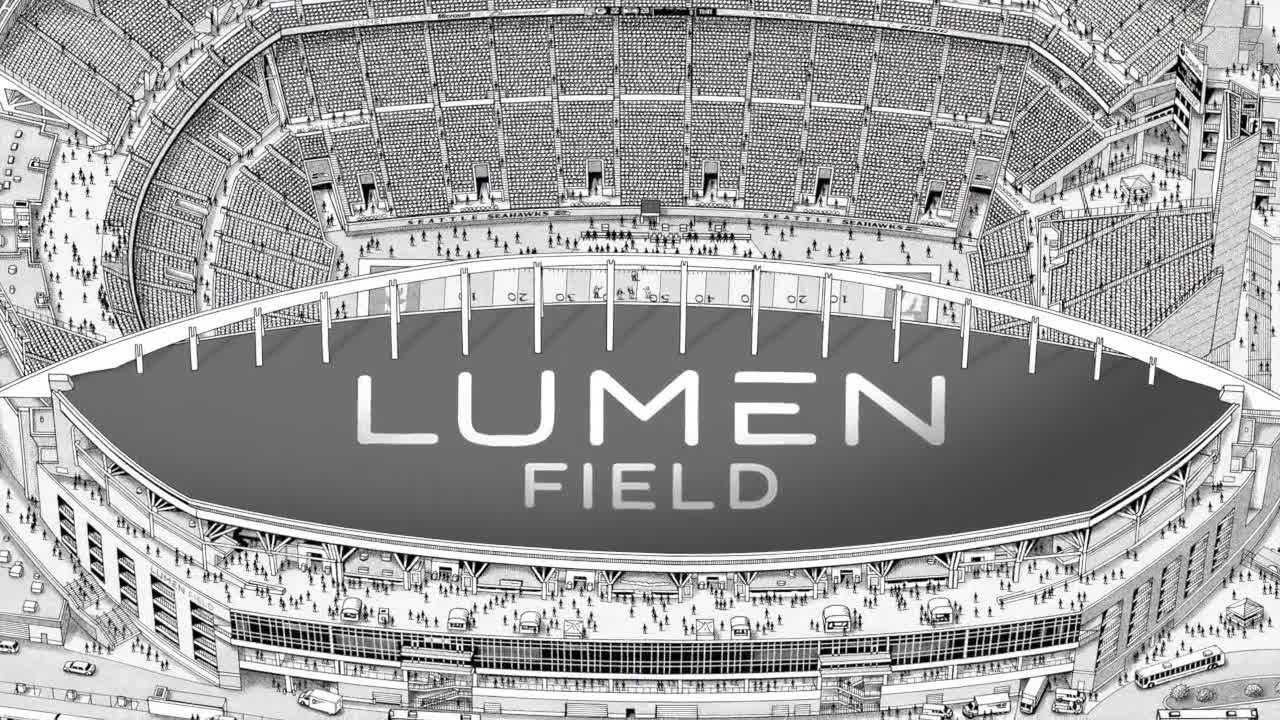 Lumen Field Overhead Football Stadium Print, Seattle Seahawks