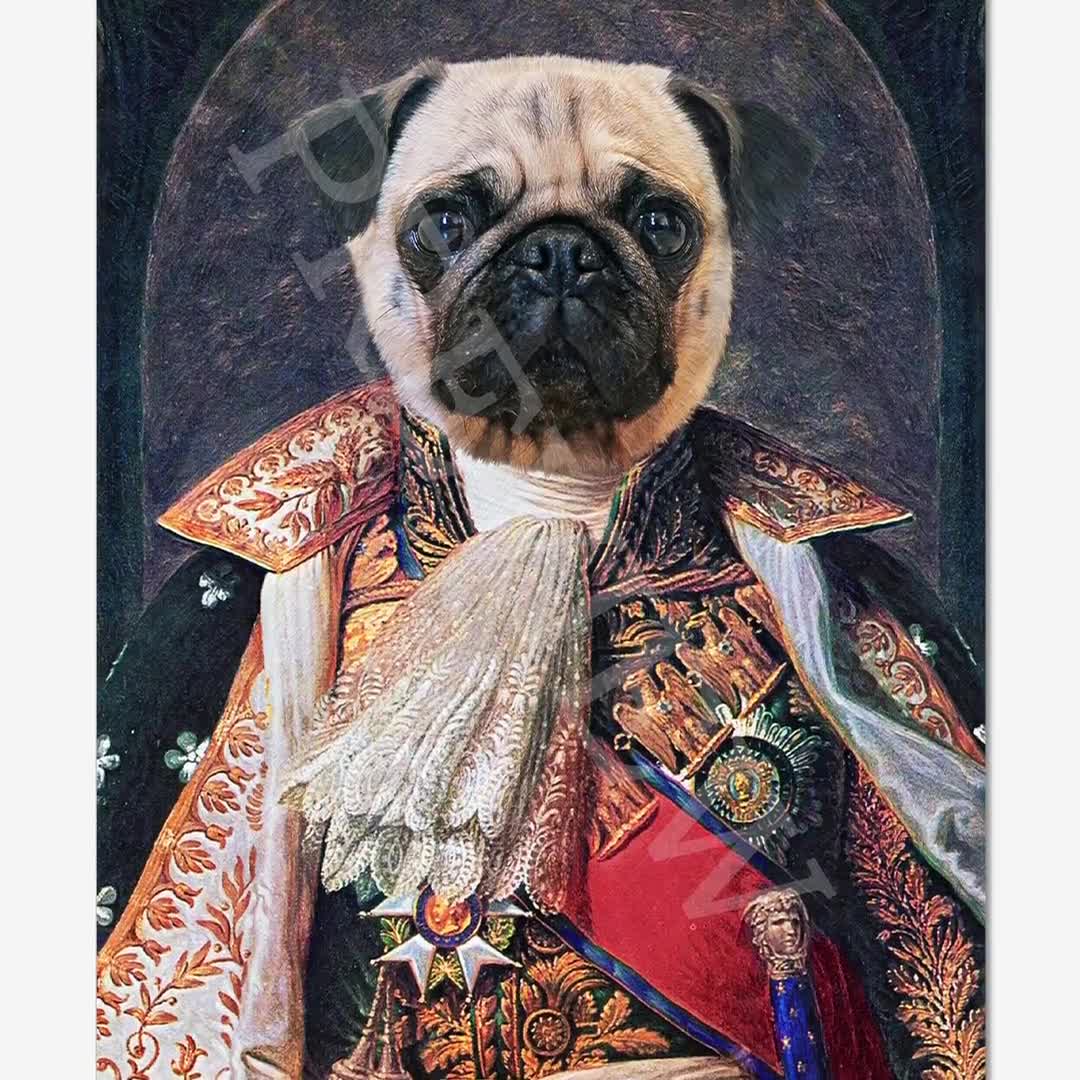 Pug sheen shop