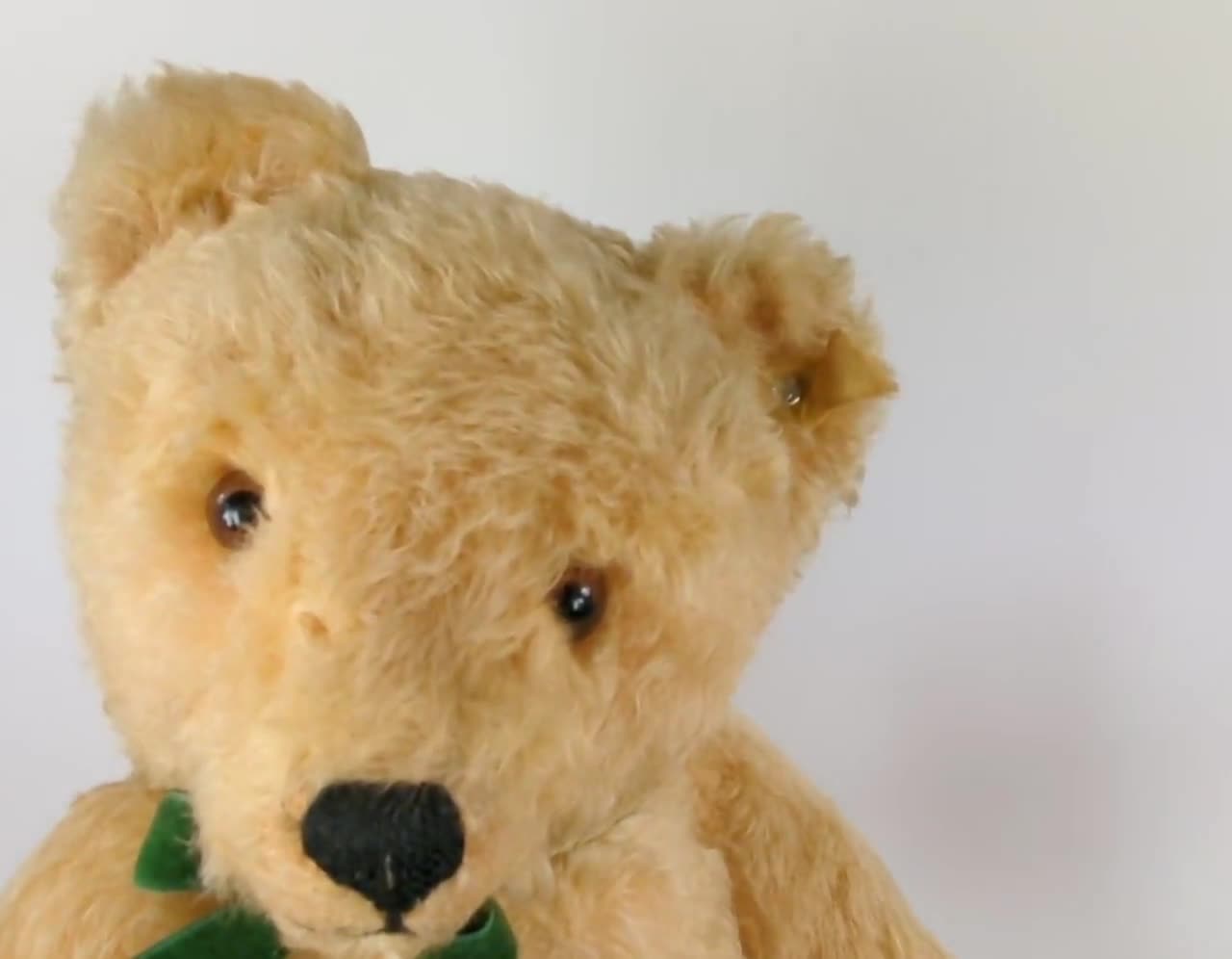 Steiff Original Teddy Bear With Ids 17 Inches Vintage 1959 to 1964