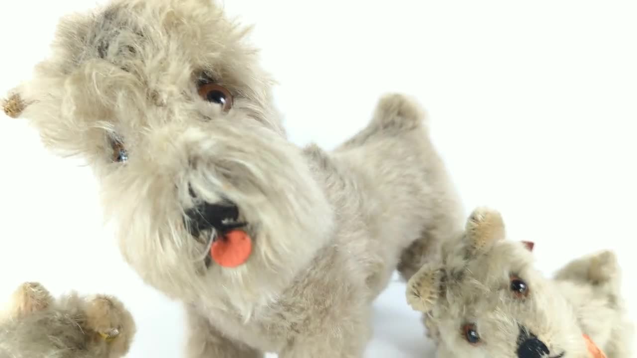 シュタイフ シュナウザー テッシー 9インチ ヴィンテージ 1965～1967年