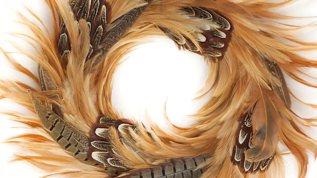 Natural Pheasant Tail Wreath - Natural