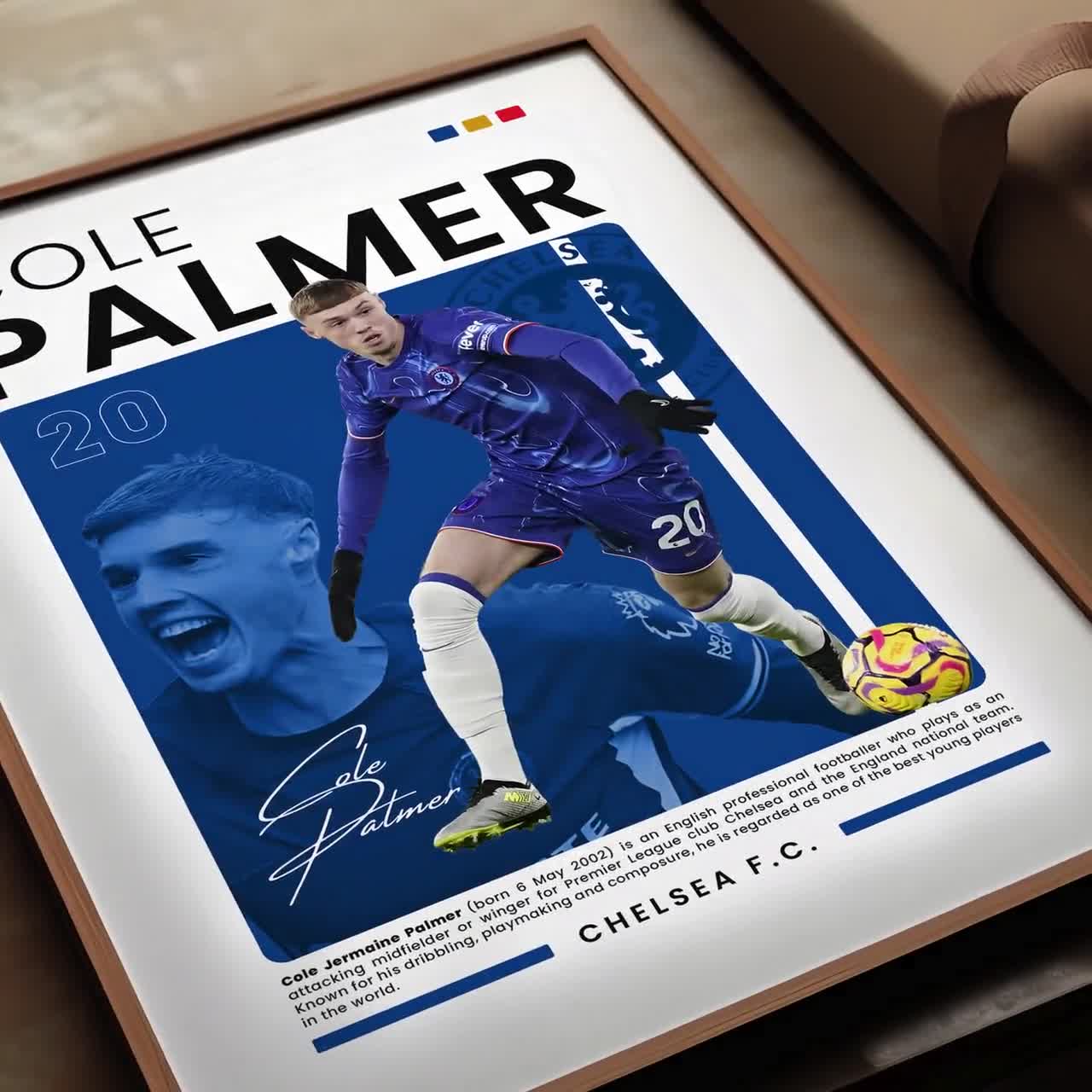 Affiche signée palmer - France