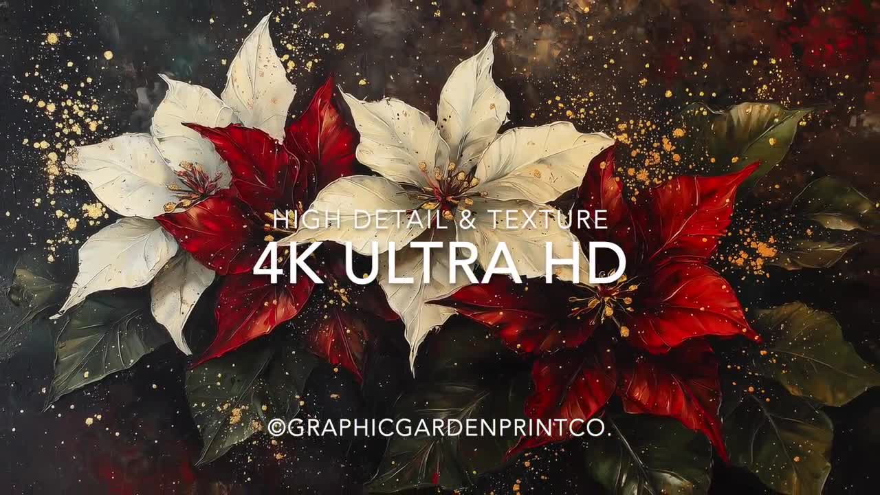 ポインセチアの油絵、ムーディーな冬の印刷物、クリスマスの装飾、素朴