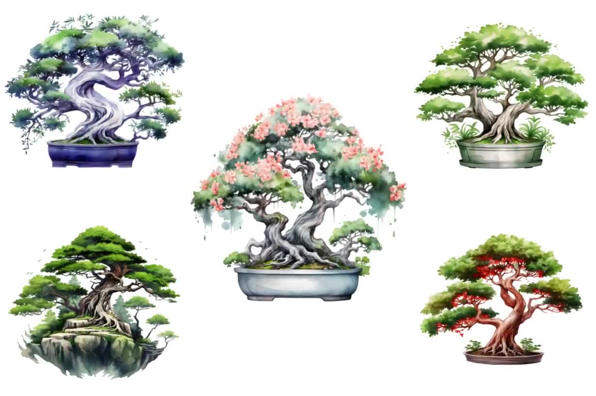 Bonsai - Bonsai Finto Per Acquario - (472x472) Png Clipart Download