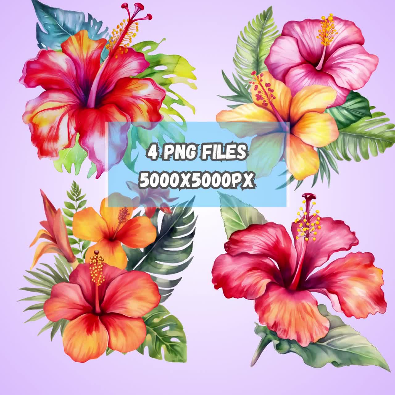 Hawaiian Flower Watercolor Clipart | Hibiscus Watercolor Flower Clipart |  Watercolor Flower PNG
