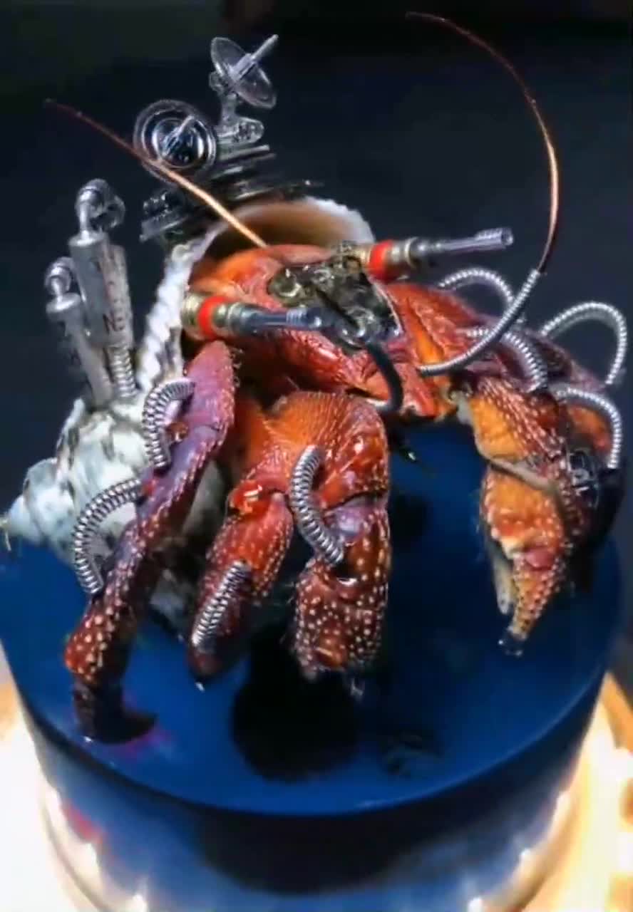 スチームパンクサイボーグカニ彫刻、機械昆虫アート - Etsy 日本
