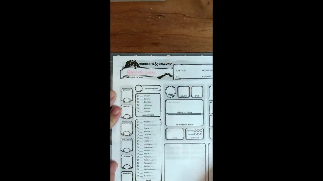 Laminated D&D Character Sheet Dry Erase D and D Character Sheet