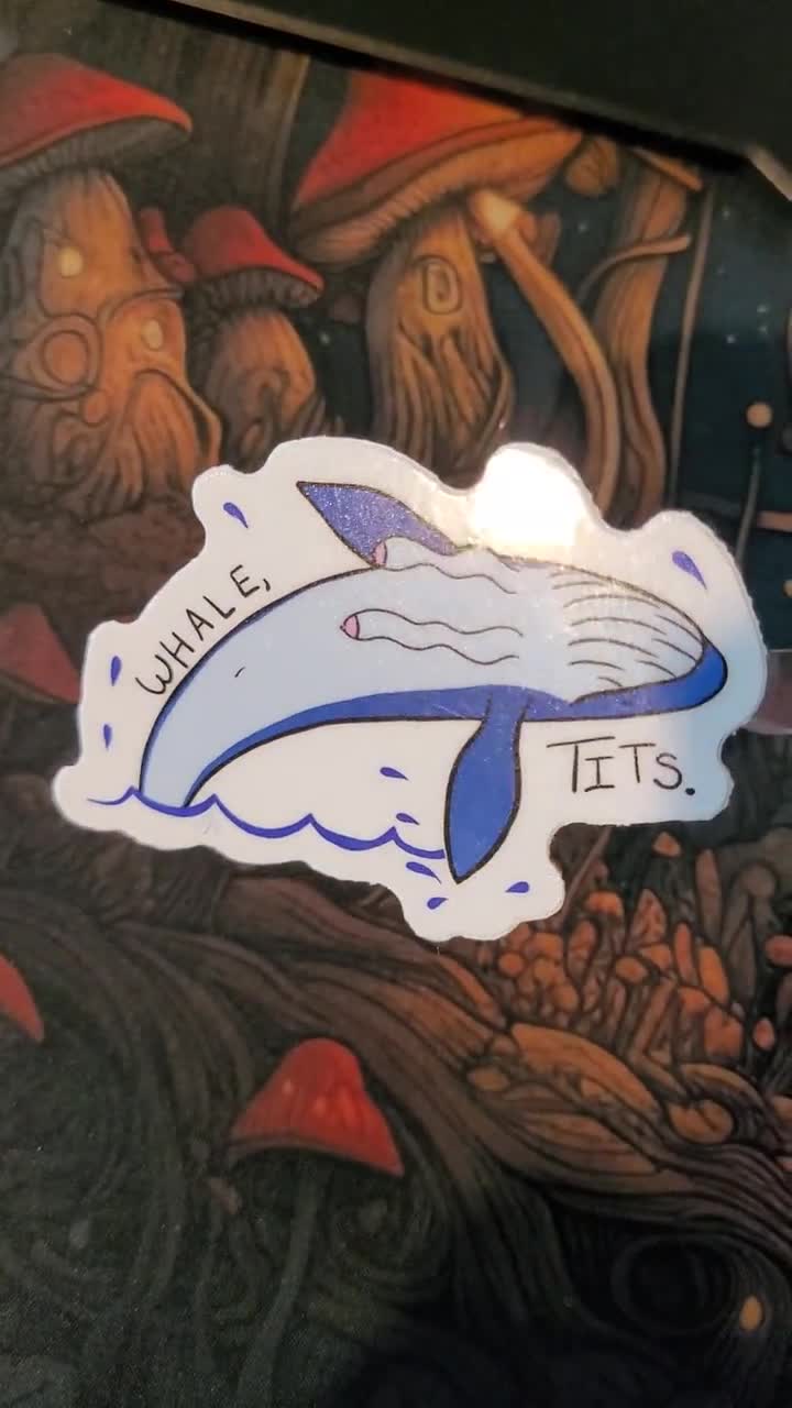 WhaleTits_vid_ty2rlc.jpg