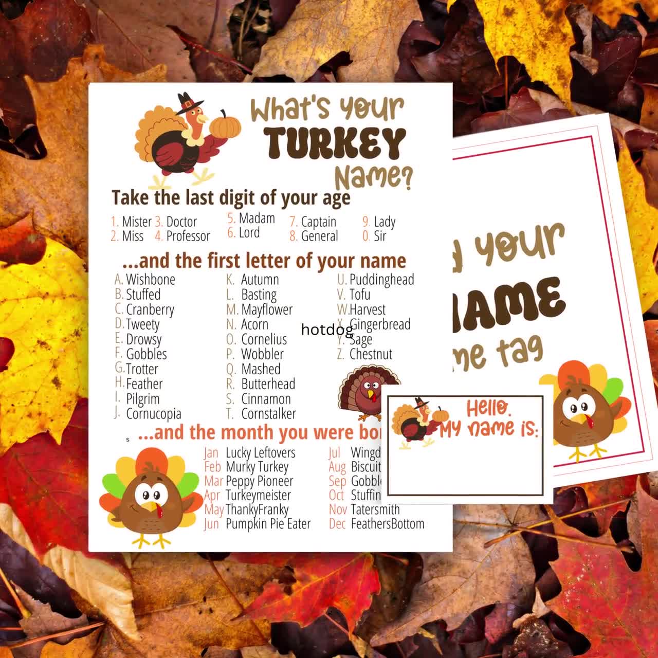 What's Your Turkey Name Game, 1 Turkey Theme Sign and 30 Name Tag Stickers,  Thanksgiving Games and Activities, Birthday Game for Boys Girls and Adult