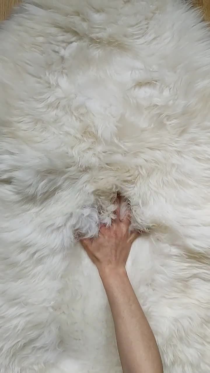 Pelle Pecora Lunga Lana Pelliccia Ecologica Svedese, Pelle D'agnello Con Lana Lunga Naturale - Tappeto O Coperta, Taglie M-XXL Pelliccia Pecora Naturale Tappeto - Foto 7