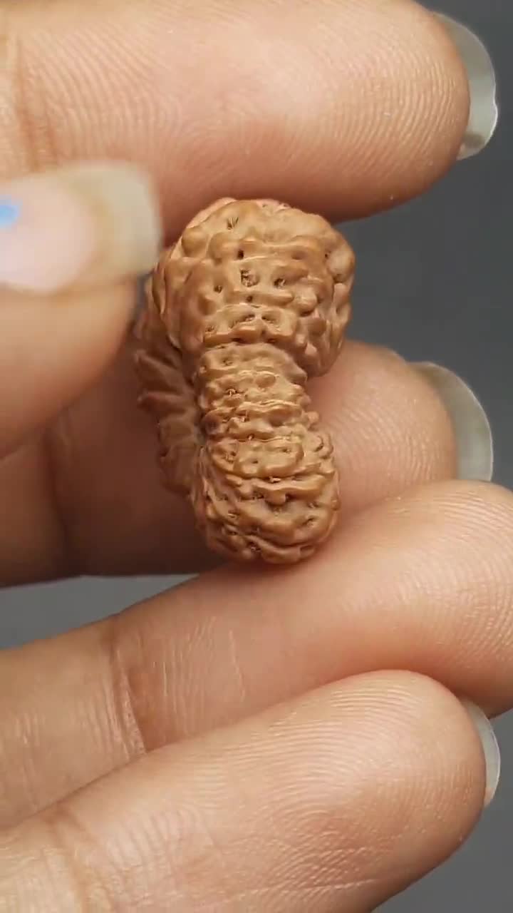 16面16面ジャワルドラークシャビーズペンダント用 | IGLラボ認定