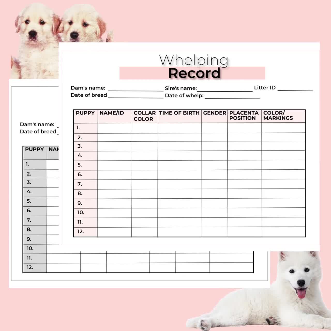 dog-whelping-record-editable-dog-breeder-forms-puppy-whelping-chart-digital-download-d001-etsy for Free Printable Puppy Whelping Chart Pdf Dog Whelping Record Editable, Dog Breeder Forms, Puppy Whelping Chart Digital Download D001 - Etsy for Free Printable Puppy Whelping Chart Pdf