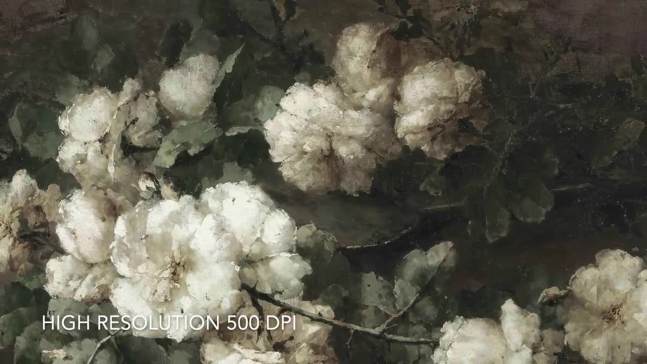 ヴィンテージの白いバラの絵画：アンティークな花の静物画（デジタル