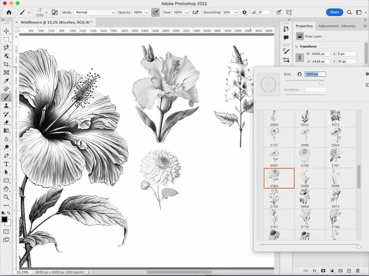 87 Flores silvestres do Photoshop Parte 2, Flores silvestres do Adobe Fresco, Carimbo de flores silvestres, Pincel de flores do Adobe Photoshop, Pincéis de flores do afresco video poster
