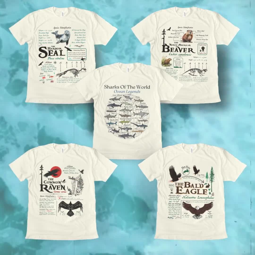 T-shirt Vintage Migration Canards Colverts - Oiseau Migrateur (XXL)