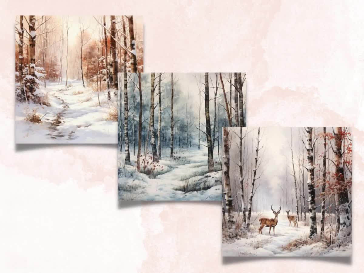 Winter Scenes Scrapbook Paper: 20 Double-Sided Sheets of Christmas Wintry  Scenes for Scrapbooking, Junk Journals, Card Making, Decoupage, Origami