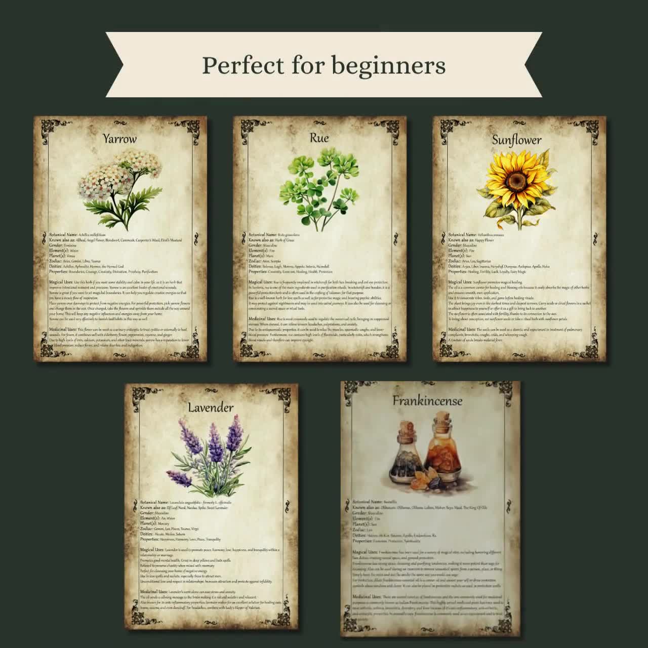 WITCH'S HERBS Bundle 10 Pages, Witch Herb Correspondences, Herbal