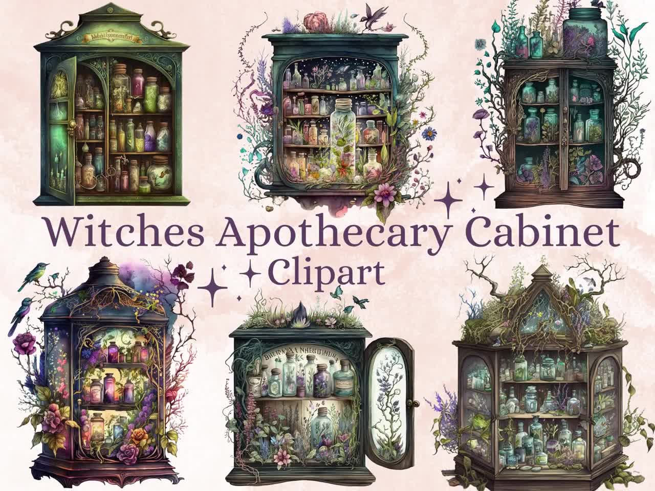 Explore the Fascinating World of the Medieval Apothecary