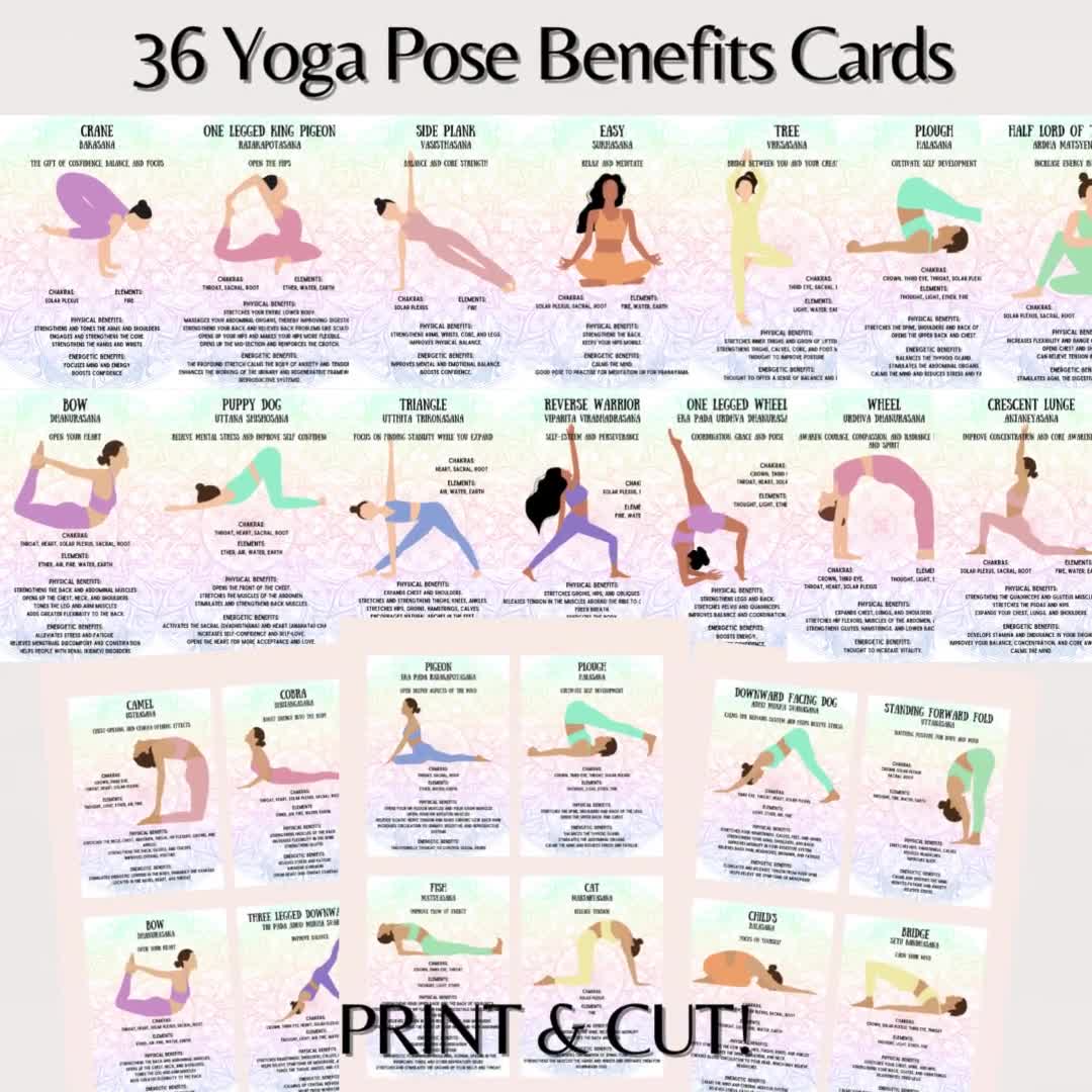 Yoga Asanas; Sanskrit-English | Yoga asanas, Asana, Cool yoga poses