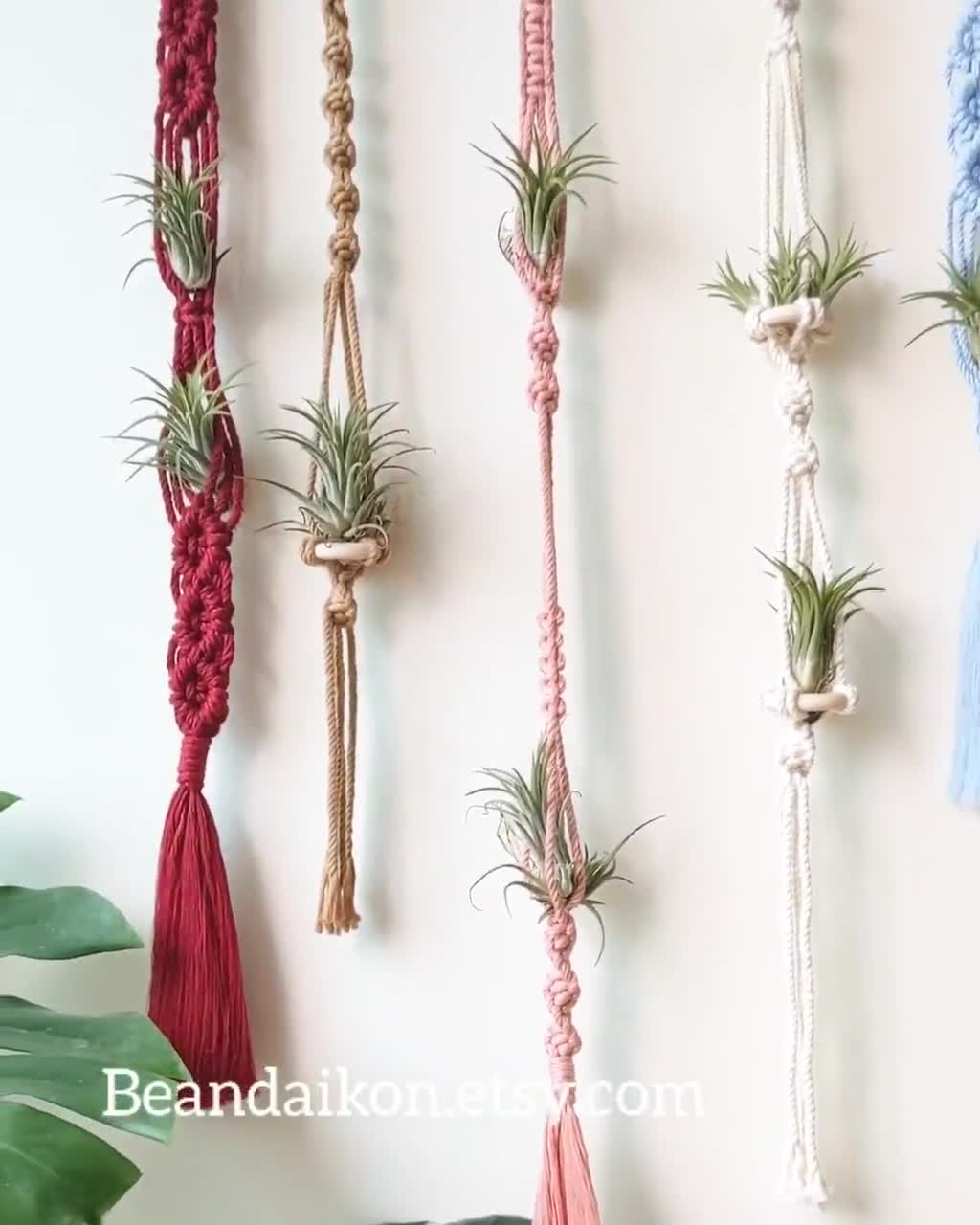 Macrame Air Plant Hanger, Air Plant Holder, Air Plant Display