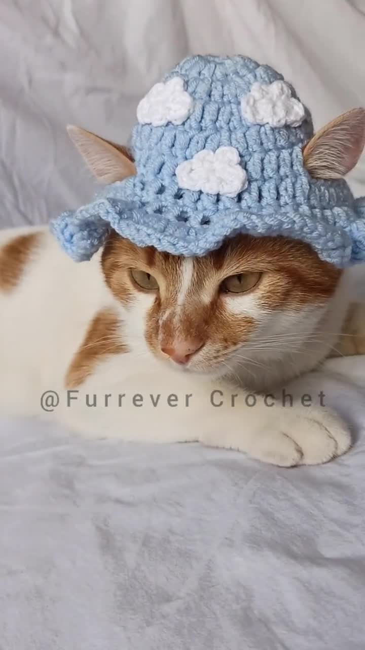 Cloud Bucket Hat for Cats and Small Dogs, Blue and White Crochet Hat, Funny  Pet Accessories 
