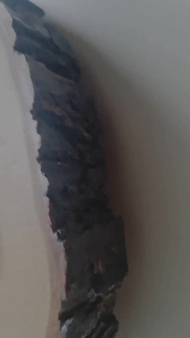 Kienzle Vintage Wood Slice Clock: Mid Century Roman Numeral Wall Decor video poster