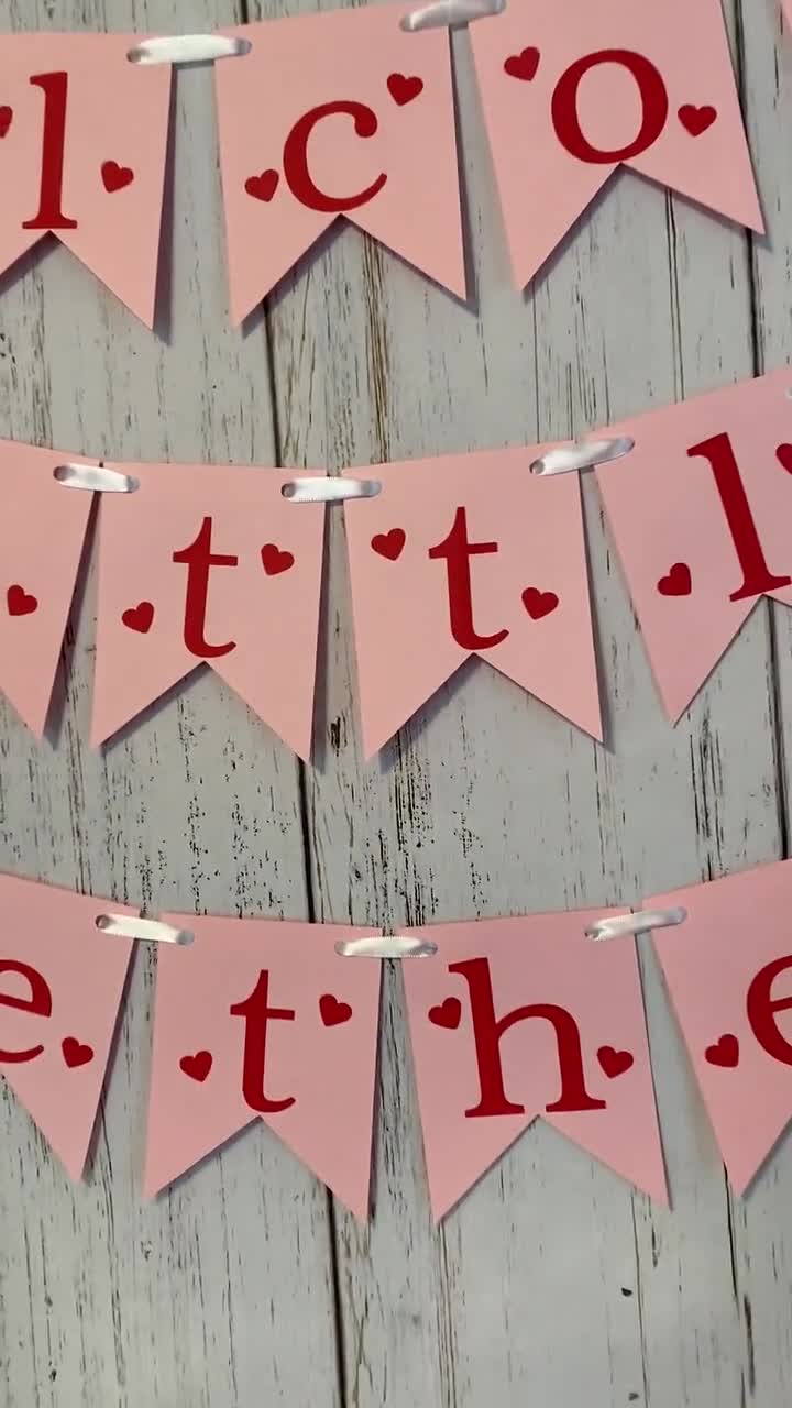 Valentines Baby Shower Decorations Welcome Little Sweetheart image