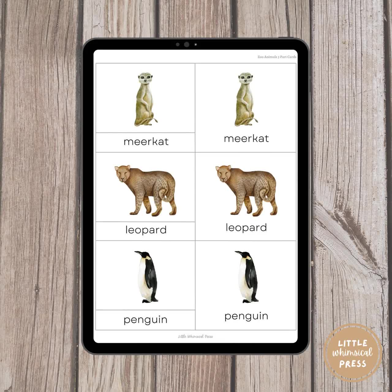 Montessori Zoo Animals 3 Part Cards | Vocabulary Animal Flash Cards for  Kids | Animal Matching Game | Toddler Flash Cards Educational Cards