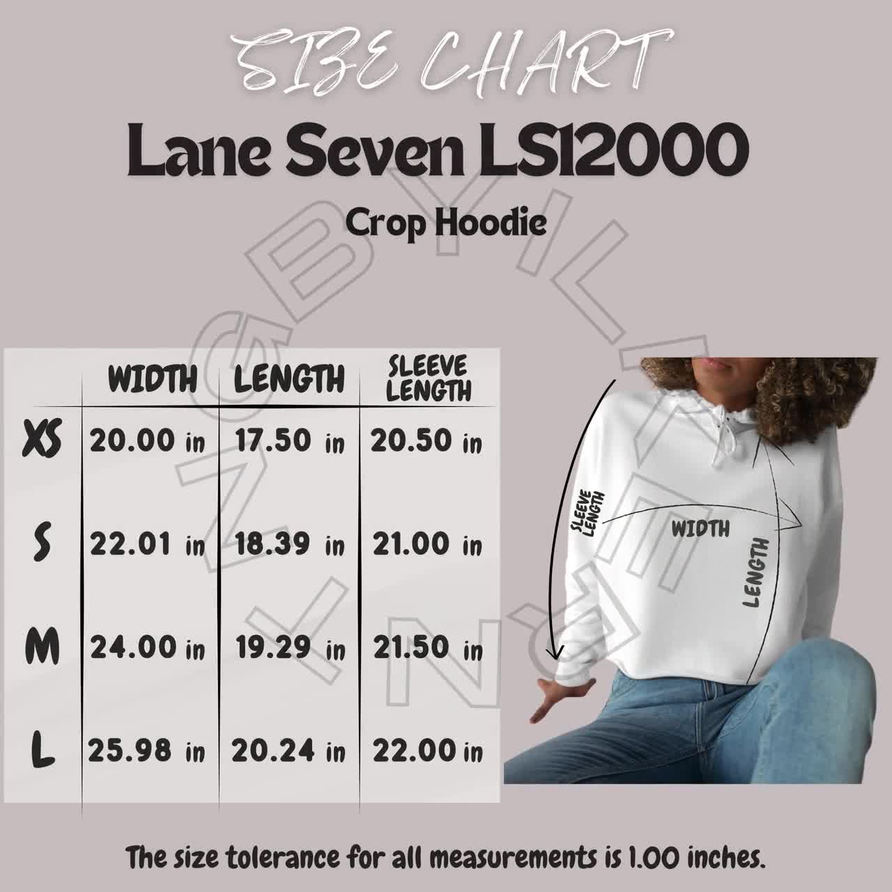 _LS12000_VD_FLG_dp96h7.jpg