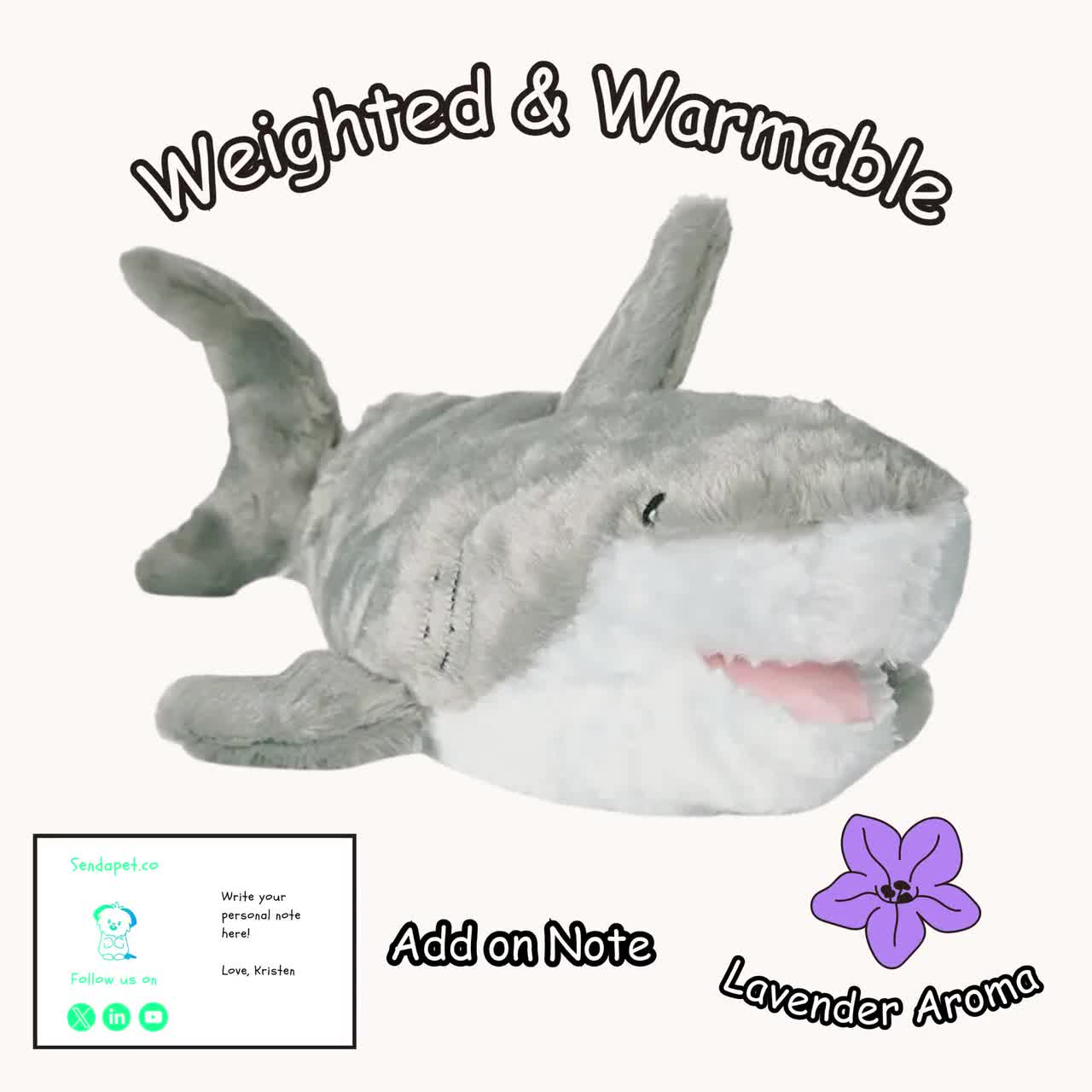 _Warmpalshark_tmk02u.jpg