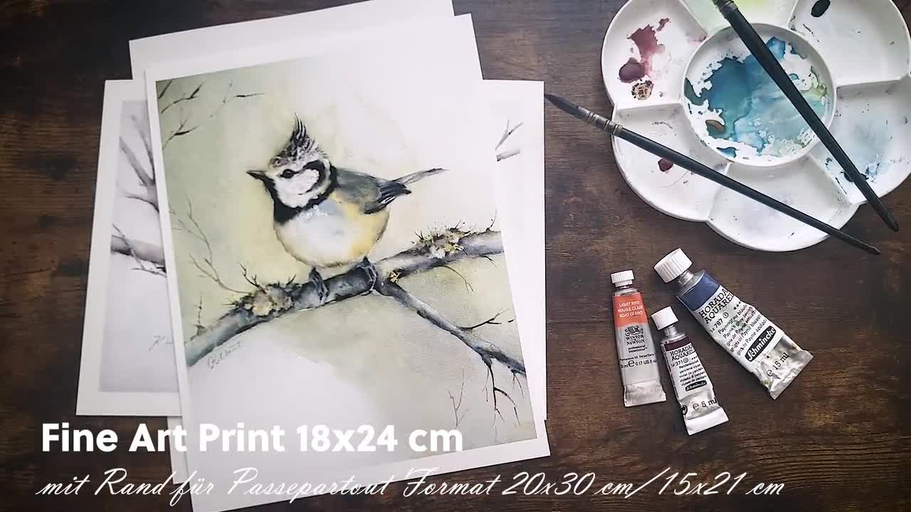 Giclée Fine Art Kunstdruck | Blaumeise | Vogel Aquarell handgemalt | Museumsqualiät - lichtecht video poster