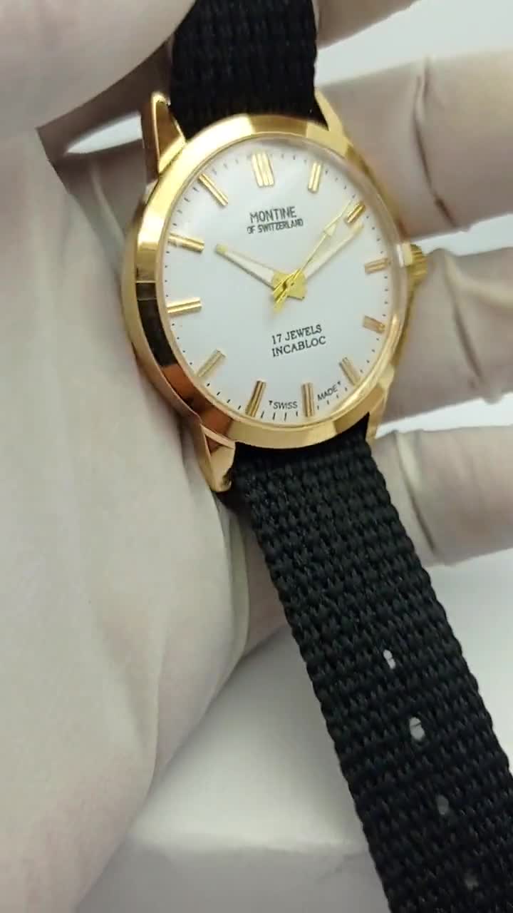 洋書】time in gold 洋書】time in gold