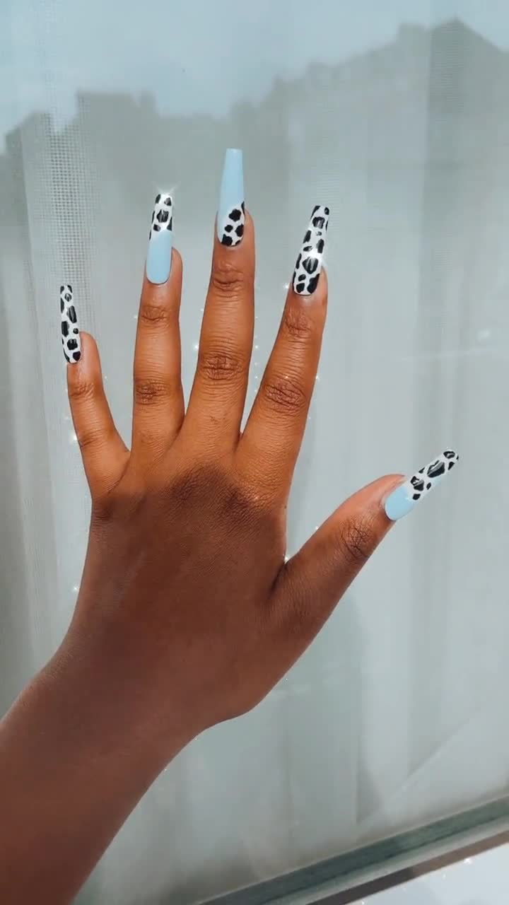 Black & white cow print nail art | Cow nails, Short gel nails, Nails